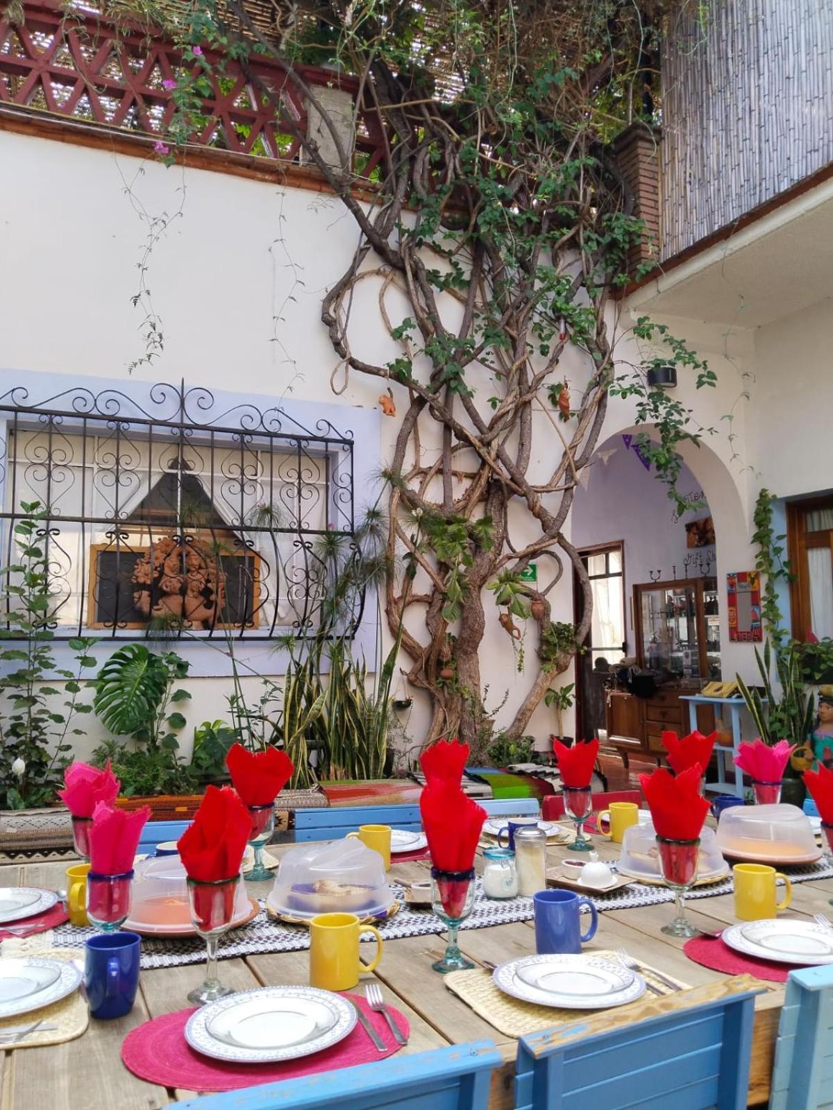 El Diablo Y La Sandia B&B Oaxaca Eksteriør billede