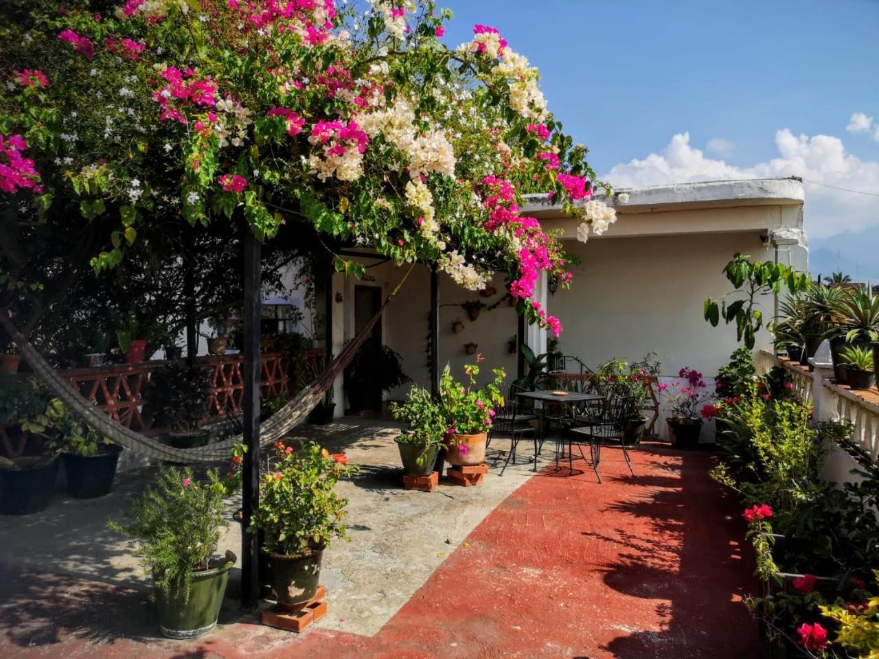 El Diablo Y La Sandia B&B Oaxaca Eksteriør billede