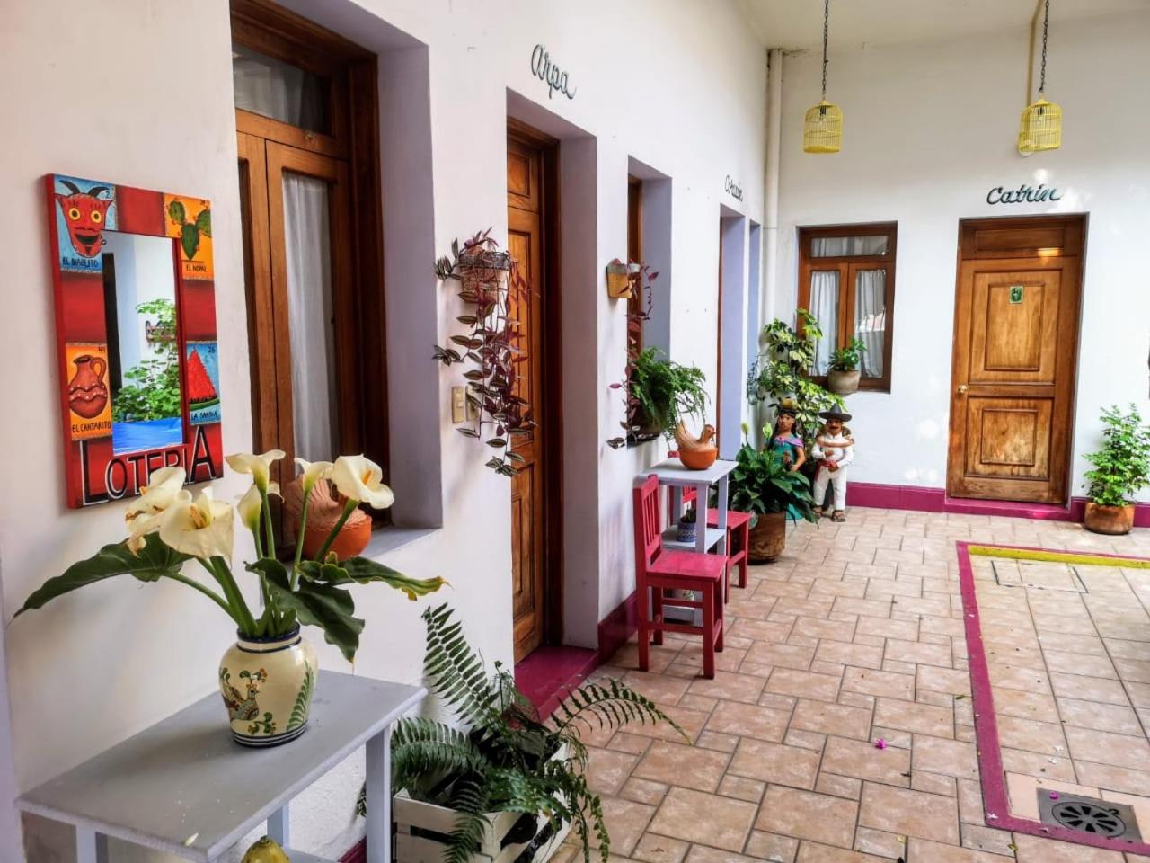 El Diablo Y La Sandia B&B Oaxaca Eksteriør billede